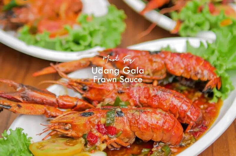 Gingerbread donut bear claw dessert powder